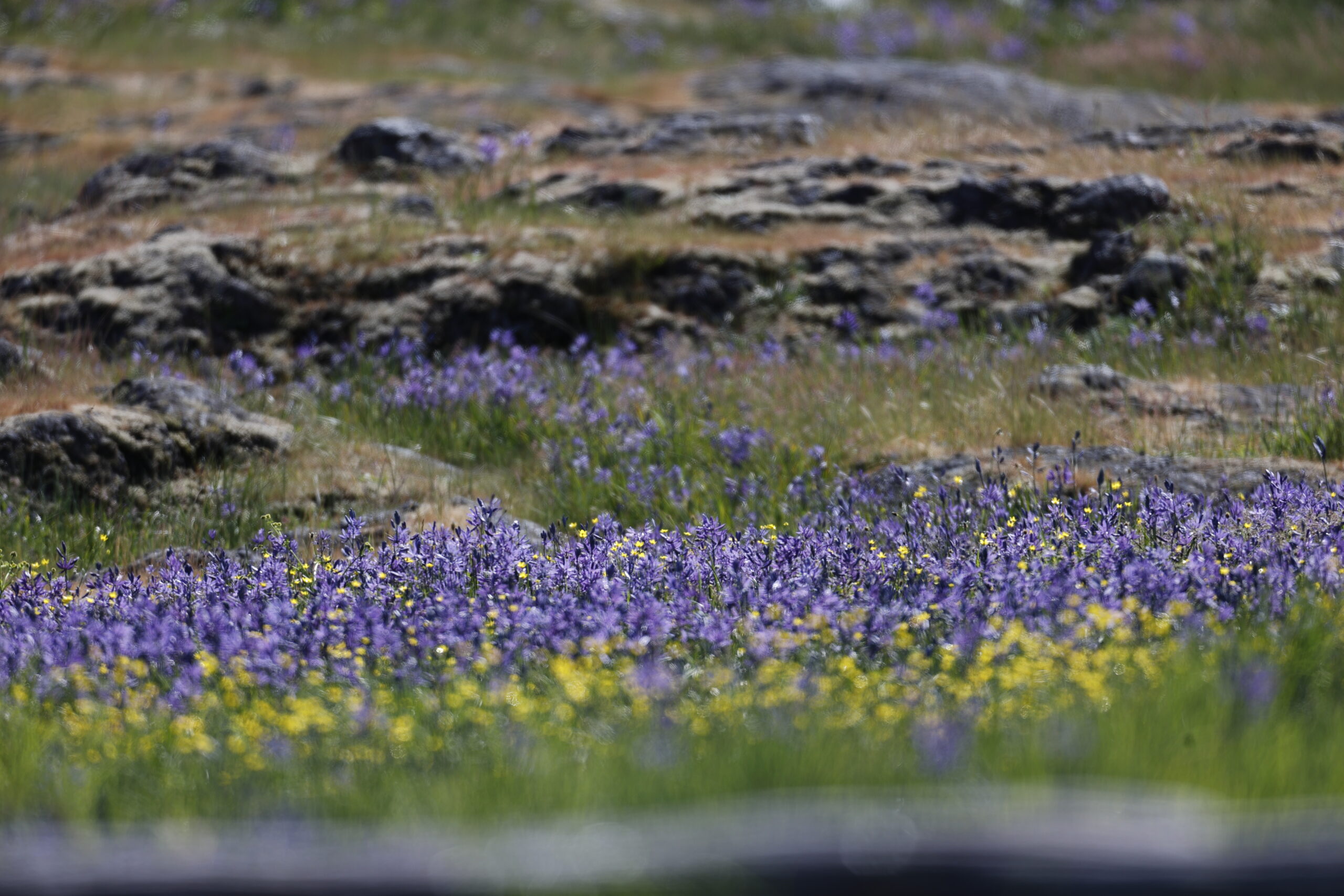 Uplands Park Master Plan